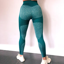 Load image into Gallery viewer, SHAPE Seamless Leggings